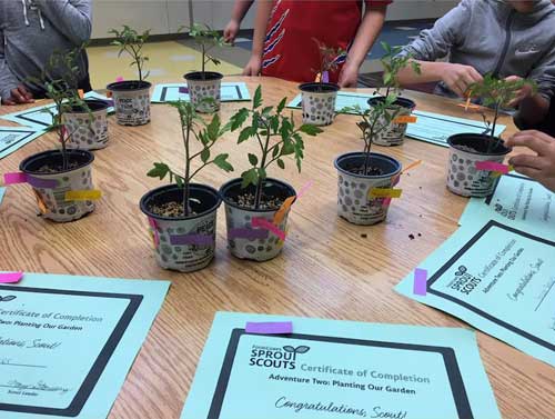 photo of King Elementary Greenhouse success!